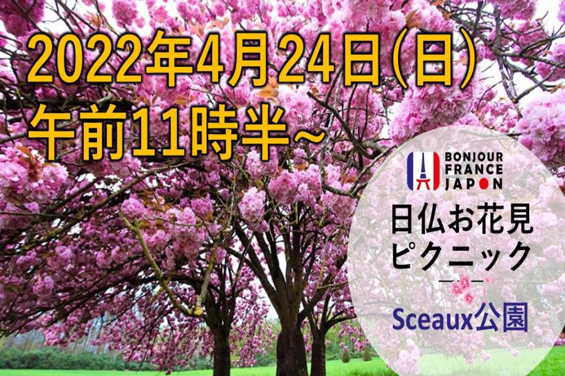 日仏お花見ピクニック2022年4月26日(日)   午前11時半~ Sceaux公園